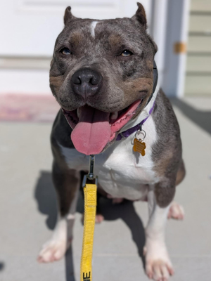 MEET KHALEESI!