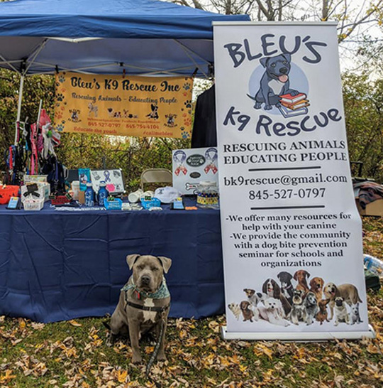 Bleu's booth