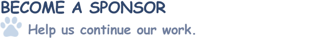 BECOME A SPONSOR