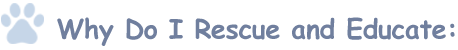Why Do I Rescue and Educate